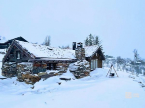Rustic mountain cabin with modern interior